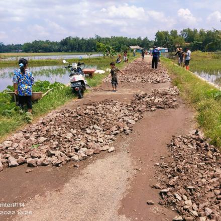 Album : KERJA BAKTI PENGARUGAN JL TAMBAK UDANG PEJATEN